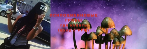дживик Липки