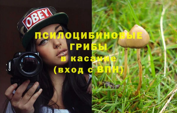 дживик Липки