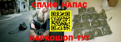 спайс Гатчина