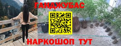 спайс Гатчина