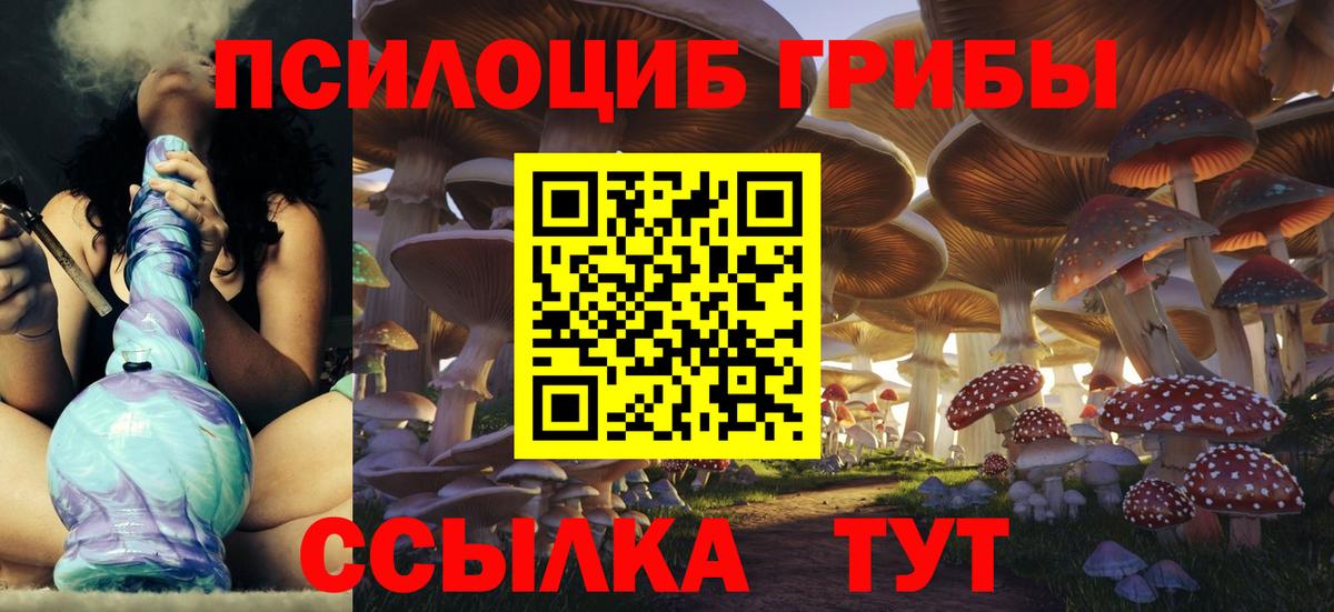хочу наркоту  Псилоцибиновые грибы Magic Shrooms  Вход с VPN  Медногорск 