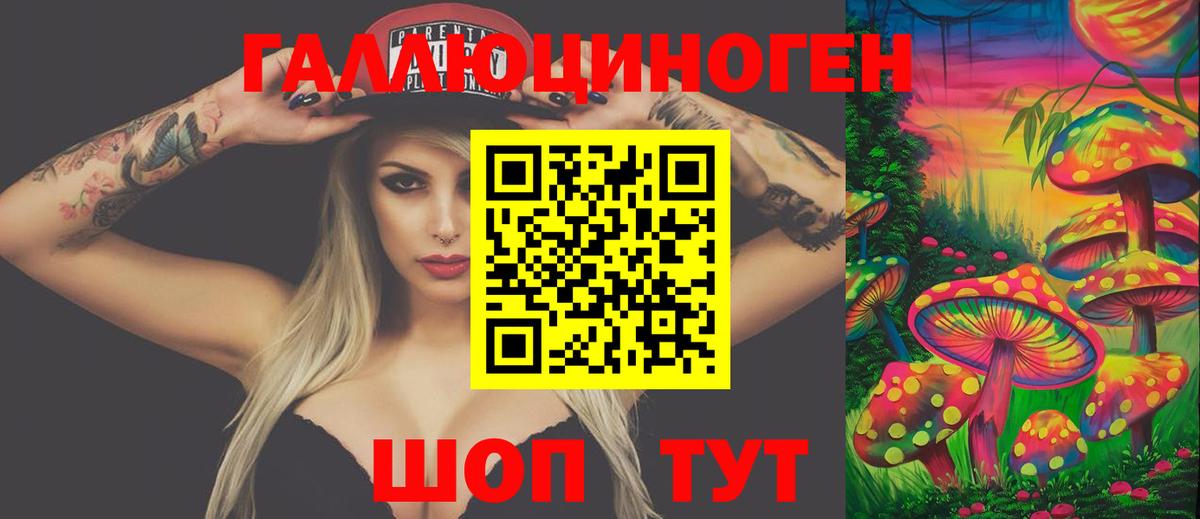 Галлюциногенные грибы Psilocybine cubensis Медногорск