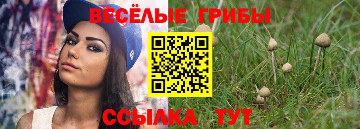 Псилоцибиновые грибы MAGIC MUSHROOMS  Медногорск 